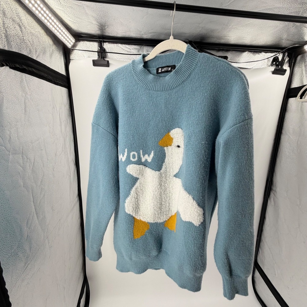 LAIXTON Light Blue Goose WOW Graphic Knit Crewneck Sweater XL